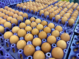 Obraz premium Rows of brown eggs on purple trays in a market setting