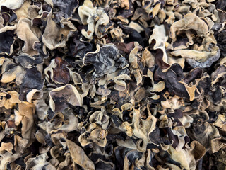 Close-up of dried black fungus mushrooms for culinary use