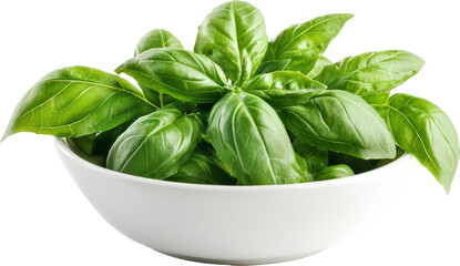 Fototapeta premium basil leaves in bowl 