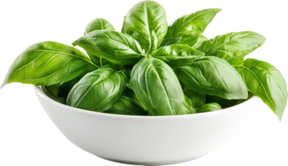 basil leaves in bowl 