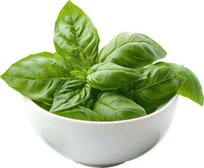basil leaves in bowl 