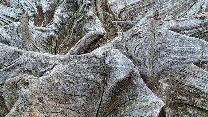 Weathered Wood Texture Patterns Nature Organic Surfaces Details Curves Lines Artistic Color