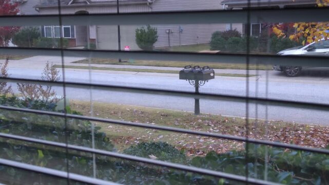 autumn suburban view through window blinds