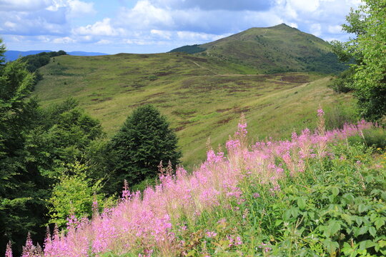 Bieszczady Mountains in Poland, Polonina Wetlinska, Beskidy