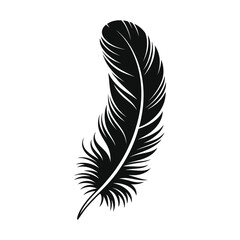 Obraz premium Elegant black feather silhouette isolated on white background for design