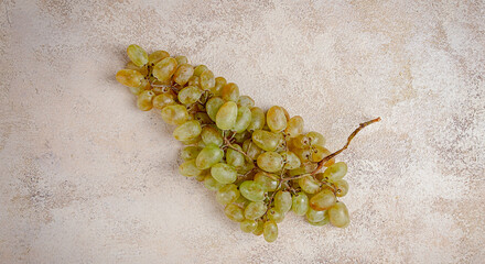 a branch of white grapes, wine grapes, Georgian grape variety Rkatsiteli, top view,