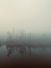 Fototapeta premium misty morning on the river