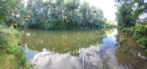 A peaceful river winds through lush greenery. The mirror-like reflections of the sky and clouds on the water evoke a tranquil, natural atmosphere, ideal for showcasing forest landscapes.