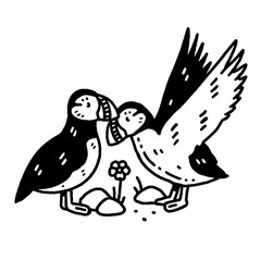 Trad-tattoo style Atlantic puffins bird doodle design.