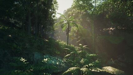 Radiant sunlight breaks through the lush canopy, illuminating vibrant green plants and the tranquil beauty of the forest. A peaceful atmosphere invites reflection and exploration.