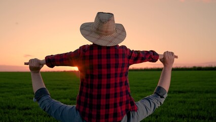 Child son in hat sits on father's shoulders. Boy child on father's shoulder farmer plays in green field. Farmer family in wheat field at sunset. Parent, boy walk together in countryside. Happy family