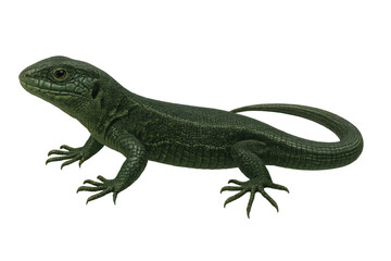 Fototapeta premium Green lizard reptile animal standing, showing detailed scales and head, isolated on transparent background