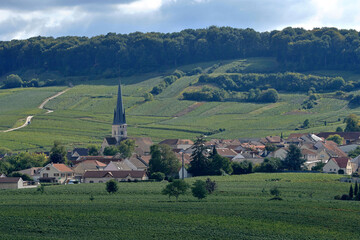 Village de Chamery - Champagne