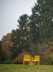 Zwei gelbe St&uuml;hle im Wald