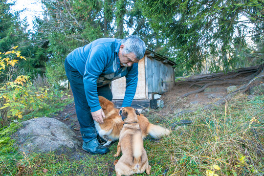 A senior Hispanic man interacts with two dogs in a natural outdoor setting. The dogs are a golden retriever and a small brown puppy, surrounded by trees and grass.