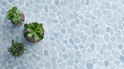 Seamless green floral vector illustration with cactus and flower in water and potted plant pattern backdrop