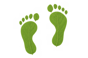 Green leaf footprints symbolizing ecological movement and carbon footprint reduction on a transparent background