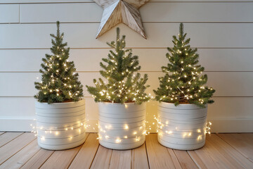 Three decorative potted trees with lights arranged against a wooden wall