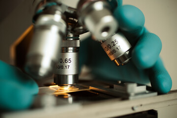 Laboratory work with optical microscope