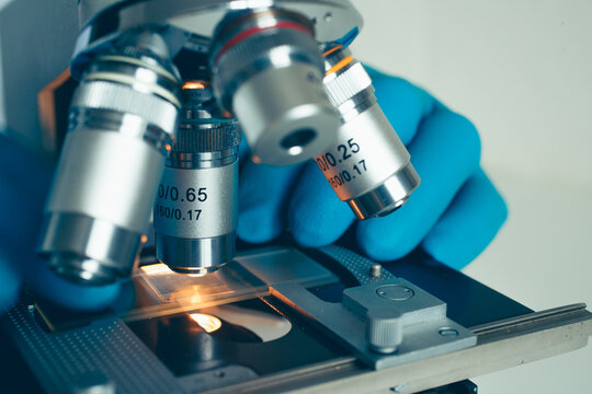 Laboratory work with optical microscope