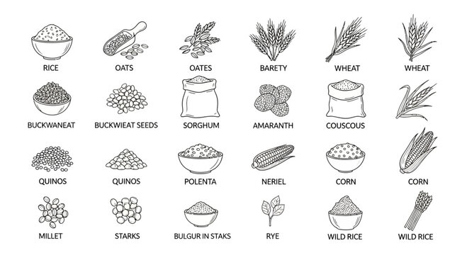 Assortment of handdrawn icons for various grains and seeds isolated on white background