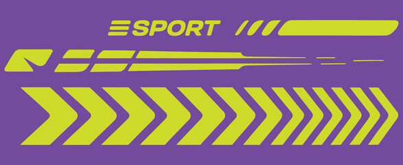 sport car stripes and decals. Perfect for racing car wraps, motorsport graphics, vehicle tuning, performance car designs, and automotive illustration projects