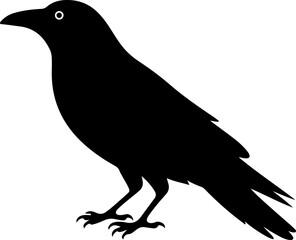 crow silhouette vector illustration