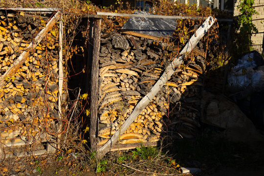 Stacked firewood against an old wooden wall, surrounded by dried vines and illuminated by warm autumn sunlight