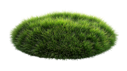 Round mound of green grass isolated on transparent background