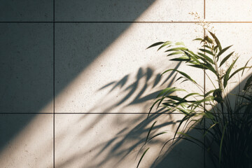 Green plant casting shadow on textured wall in sunlight