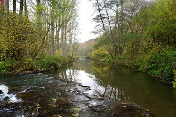 Quiet forest river with reflections and rocky shallows &mdash; tranquil autumn woodland landscape