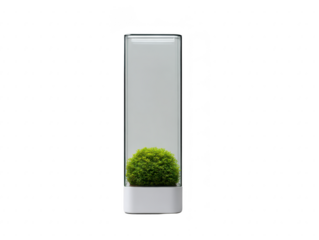 Minimalist glass terrarium with green moss ball in white base, isolated on transparent background, modern home decor, clean and fresh, perfect for office or living room accent
