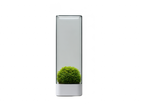 Minimalist glass terrarium with green moss ball in white base, isolated on transparent background, modern home decor, clean and fresh, perfect for office or living room accent