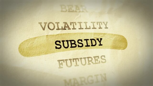 Subsidy Text Highlight Animation &ndash; Documentary Style Effect