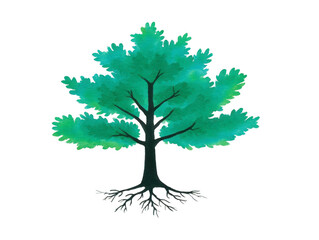 Obraz premium Watercolor tree with green leaves and visible roots, hand painted illustration, isolated on transparent background, evokes calm and natural beauty, perfect for nature themes