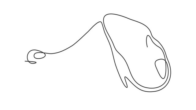Animated self drawing of continuous line draw of raw meat, meat on bone, pork. The concept of cooking meat dishes. 	 Full length one line animation. 4K
