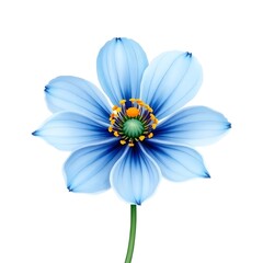 blue flower watercolor illustration