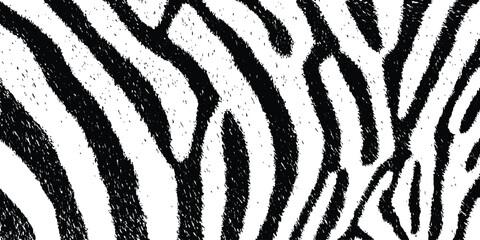 Seamless realistic zebra pattern in black and white. Abstract zebra pattern design. Black and white stripes create dynamic effect. Stylish and modern texture perfect for various creative projects. 