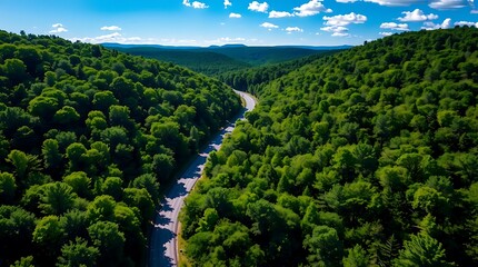 Winding road through lush green forest, mountain landscape, aerial