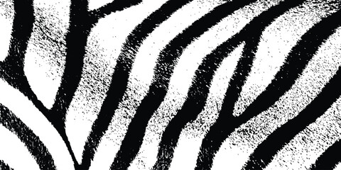 Seamless realistic zebra pattern in black and white. Abstract zebra pattern design. Black and white stripes create dynamic effect. Stylish and modern texture perfect for various creative projects. 