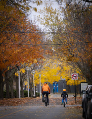 Papa et enfant en vélo , automne, jour, vertical