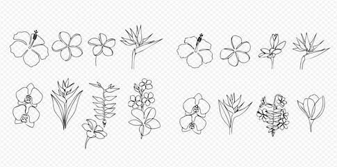 Minimalist line art illustrations of diverse tropical flowers and plants, perfect for design elements.