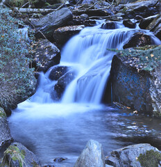 small waterfall in the forest
