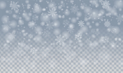 Snowfall With Transparent Background