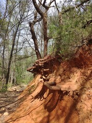 Colorado Provençal du Rustrel