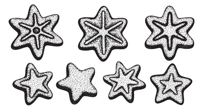 Hand-drawn black outline vector illustration of seven star-shaped cookies with unique patterns, varying in size and design.