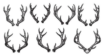 Eight detailed black outline drawings of antlers displayed in two rows, showcasing various shapes and designs.