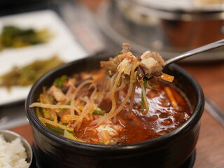 Korean traditional food. Spicy Beef and Vegetable Soup : yukgaejang
