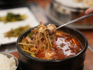 Korean traditional food. Spicy Beef and Vegetable Soup : yukgaejang