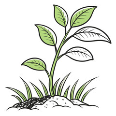 Illustration of a small plant growing in the ground, with green leaves
